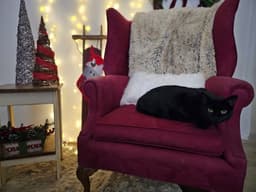 Karen image 2