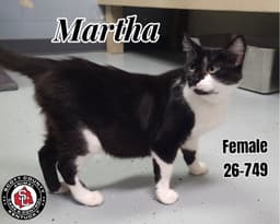 Martha image 1