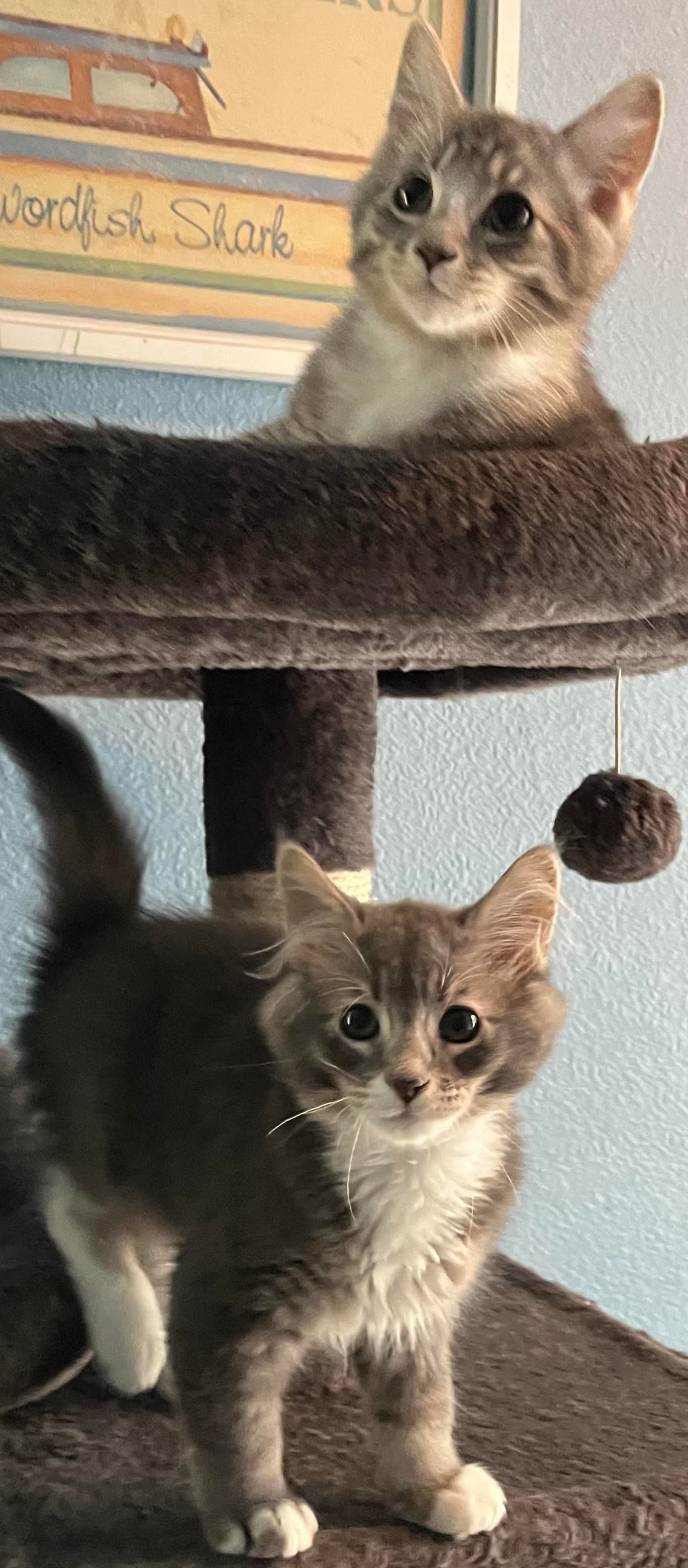 Ludacris And Zeta - Tabby