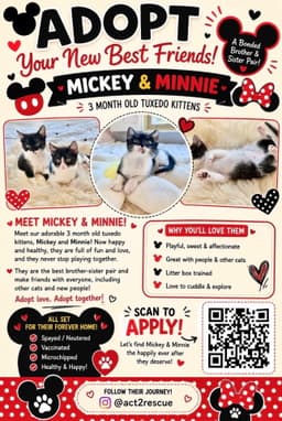 Minnie image 4