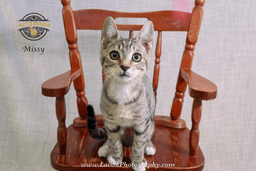 Missy image 1