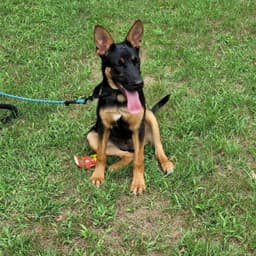 Riley image 1
