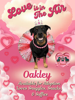 Oakley image 2
