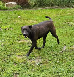 Max image 3