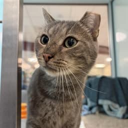 Ben - Fiv image 1