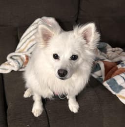 Lumi image 1