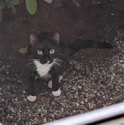 Mom image 1