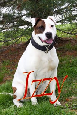 Izzy image 4