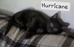 Hurricane image 1