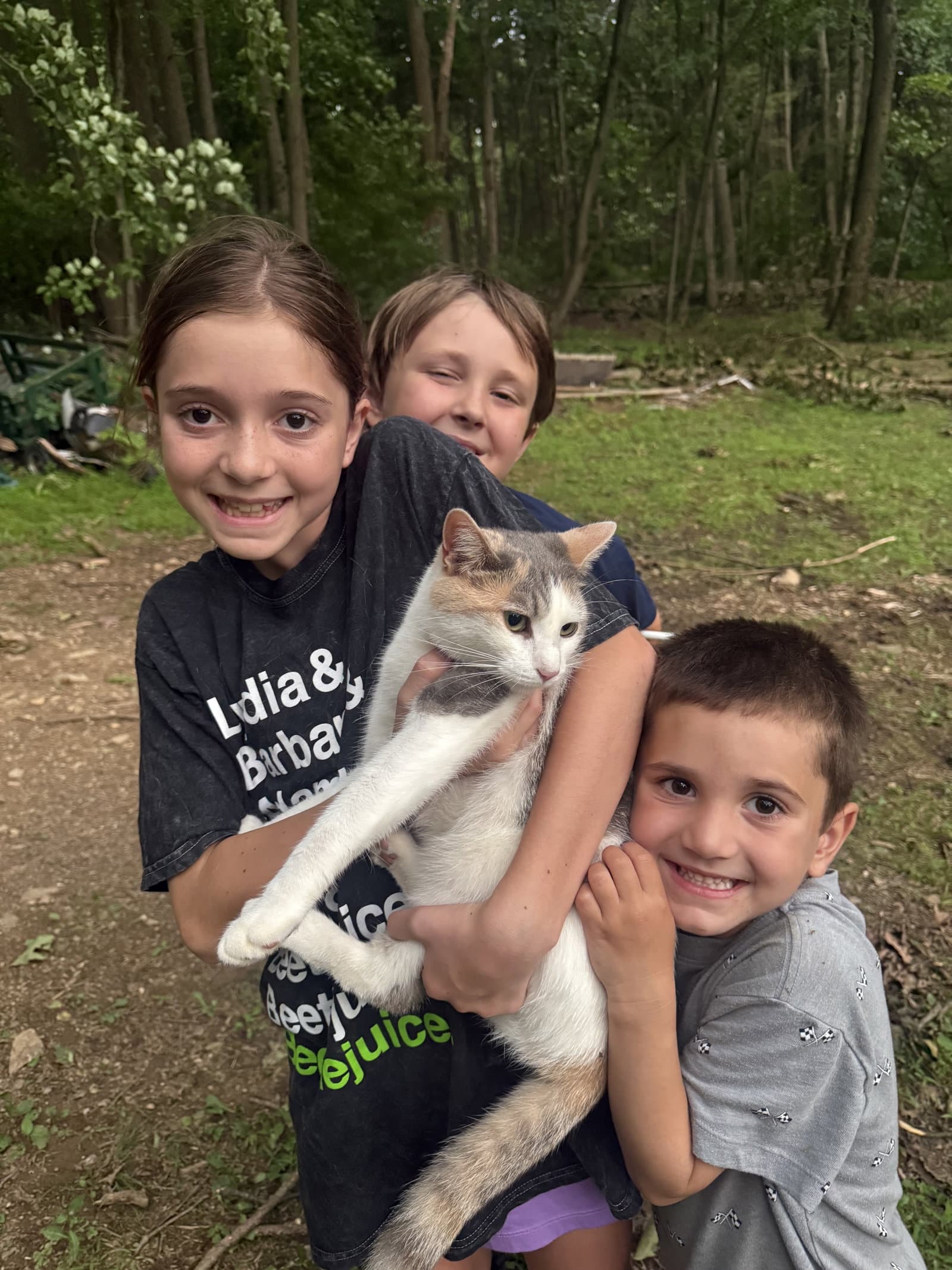 Willow - Indooroutdoor - Dilute Calico