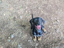 Sally image 1