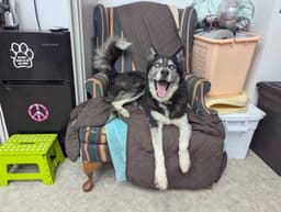 Leah image 2