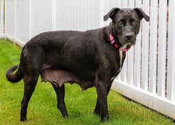 Mama Tilly image 3