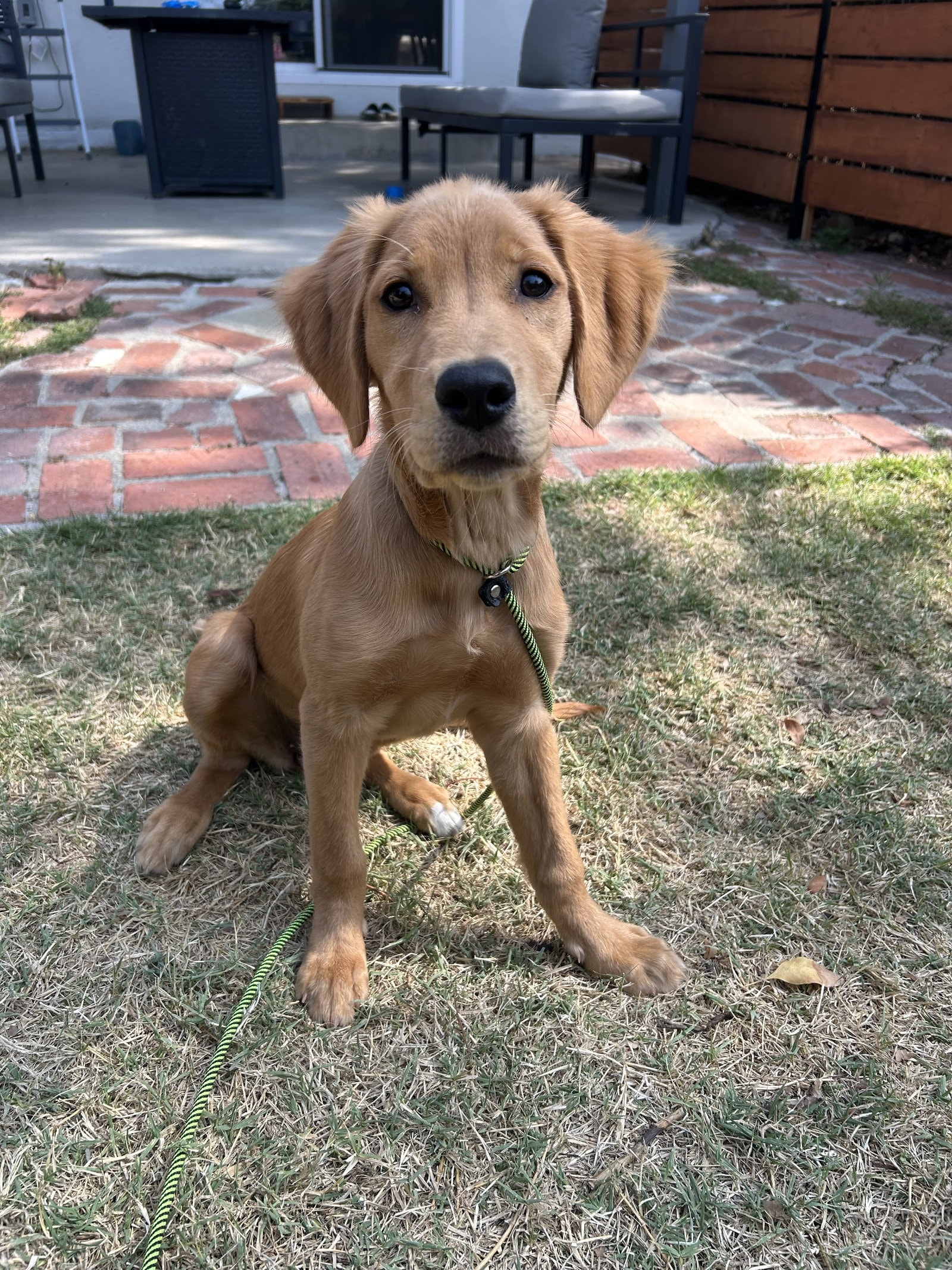 Peanut Butter