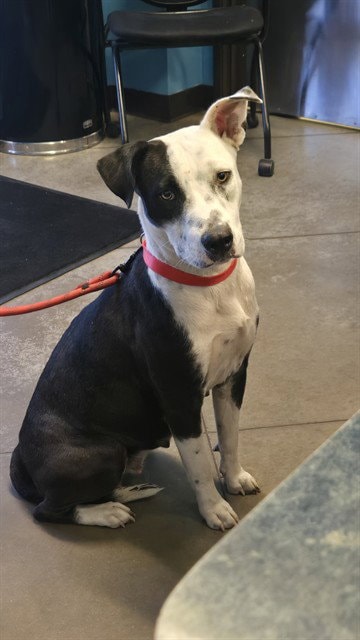 Unknown