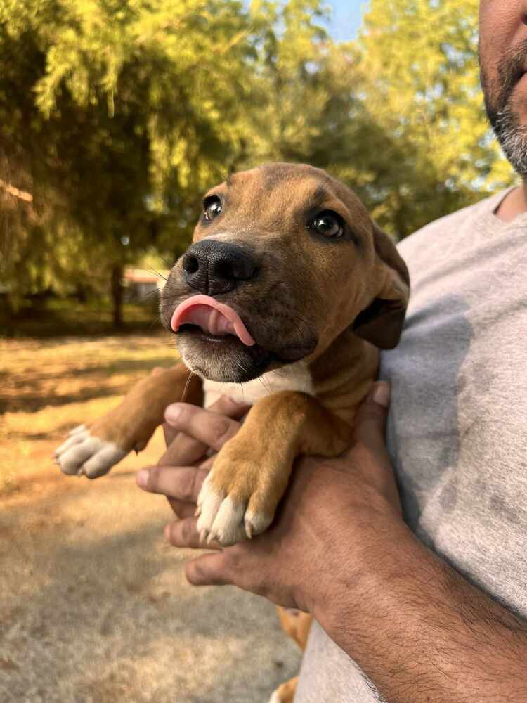Sammy