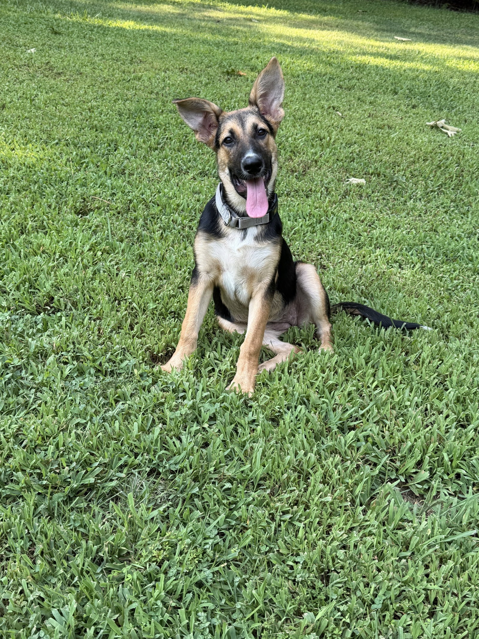 Kinlee