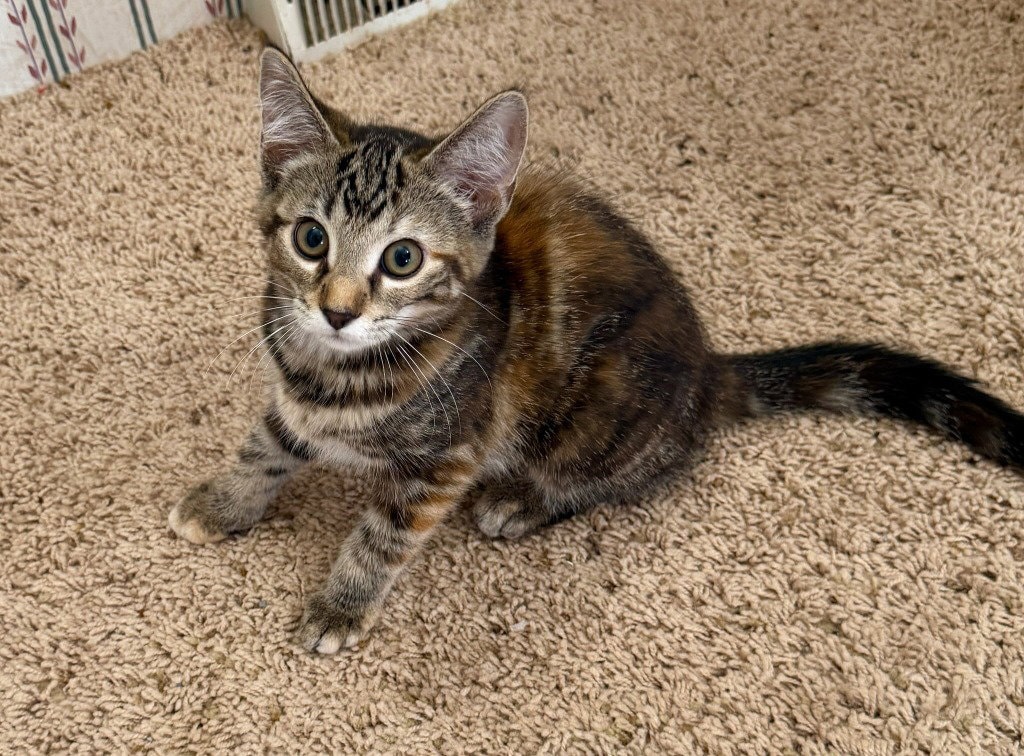Margo In Foster