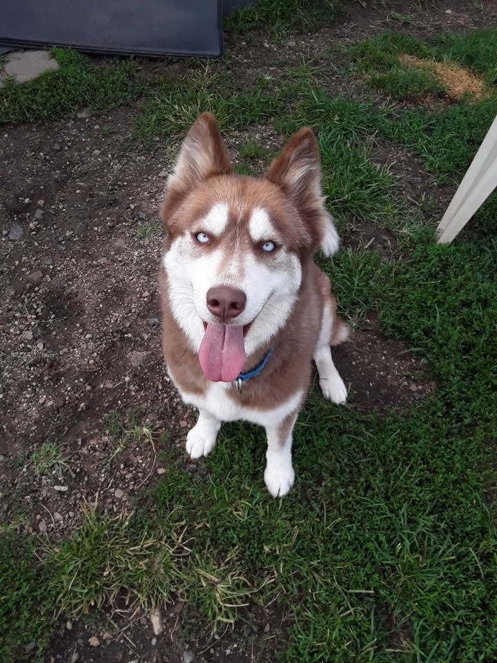 Kita
