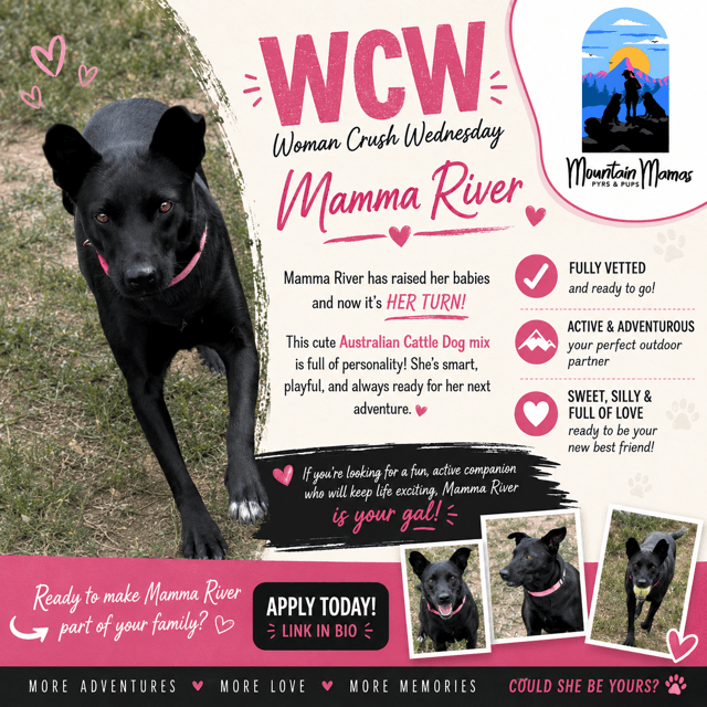 Mama River