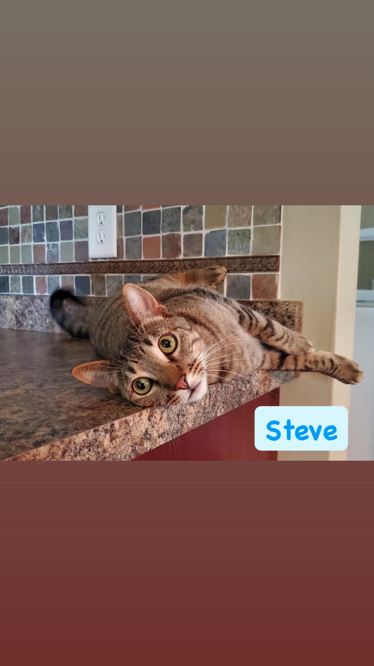 Steve