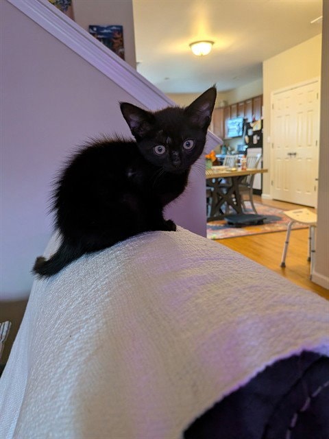 Java