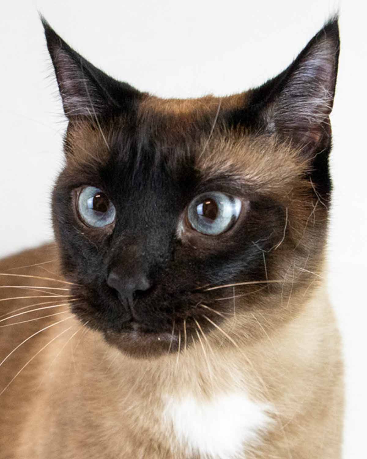 Peeta