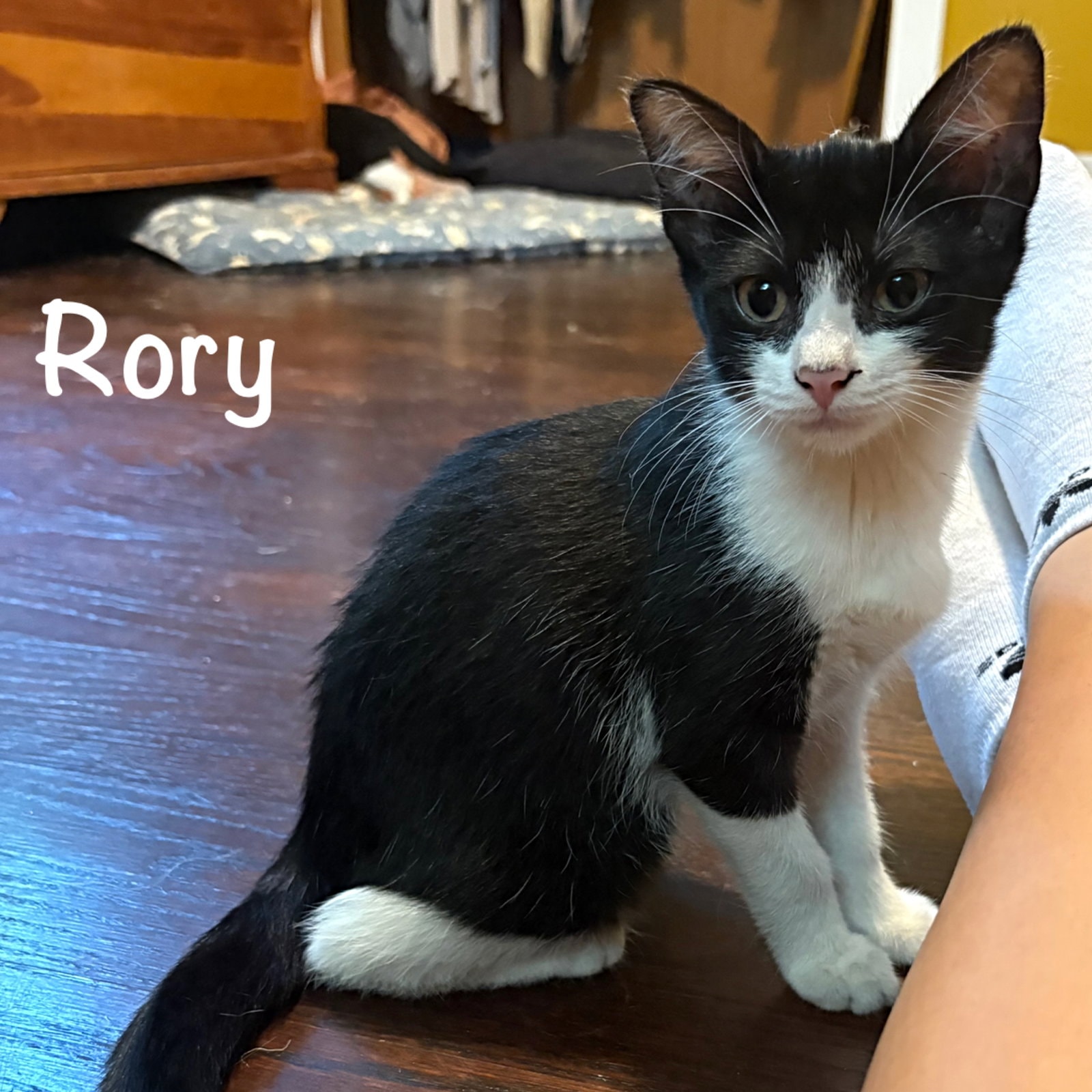 Rory