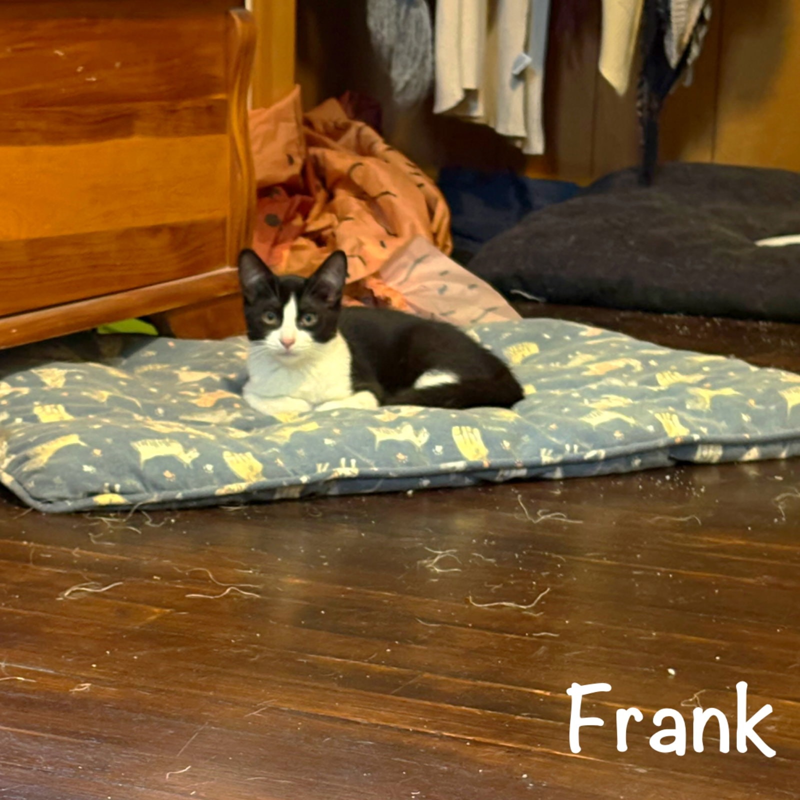 Frank