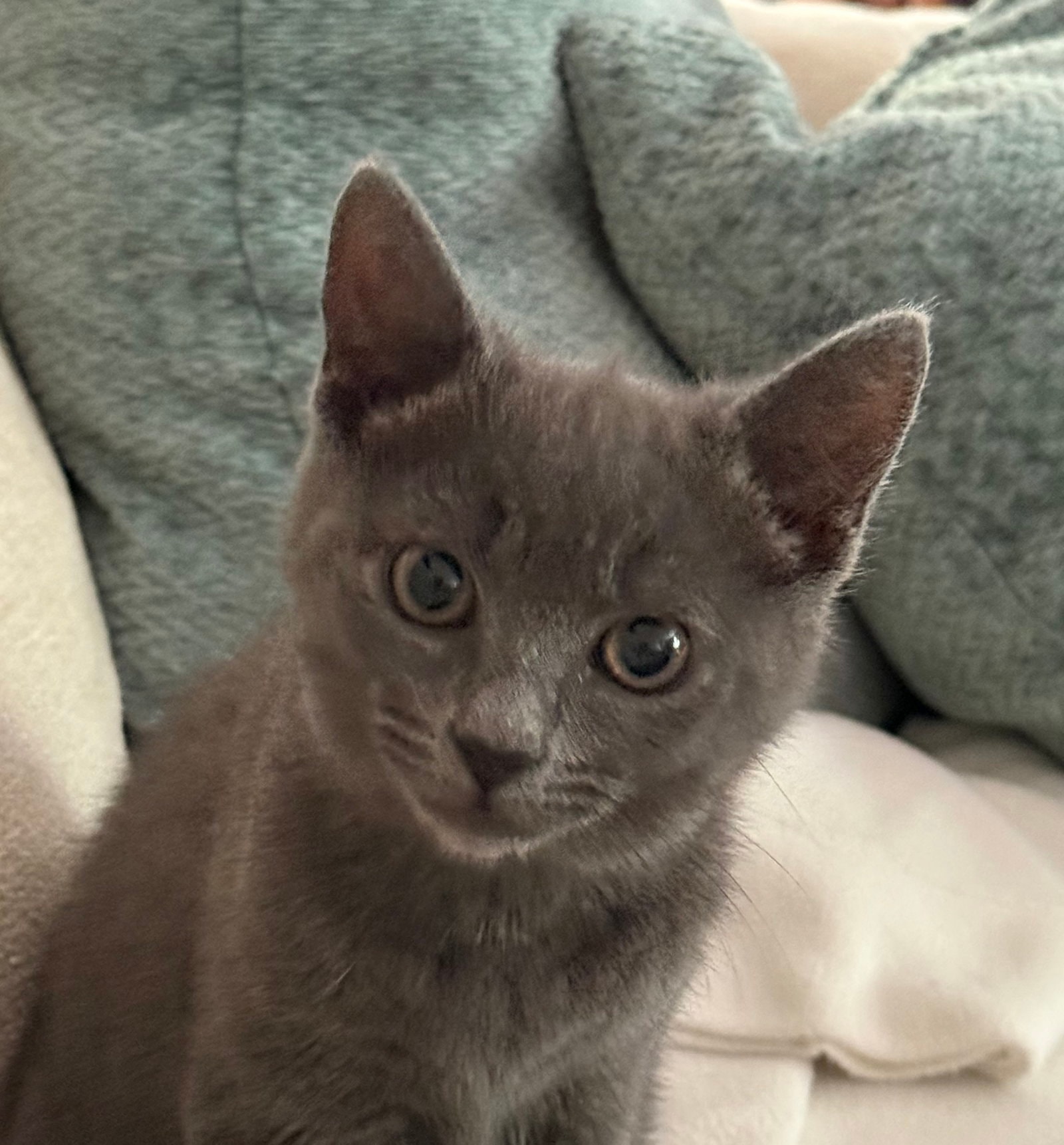 Stormie
