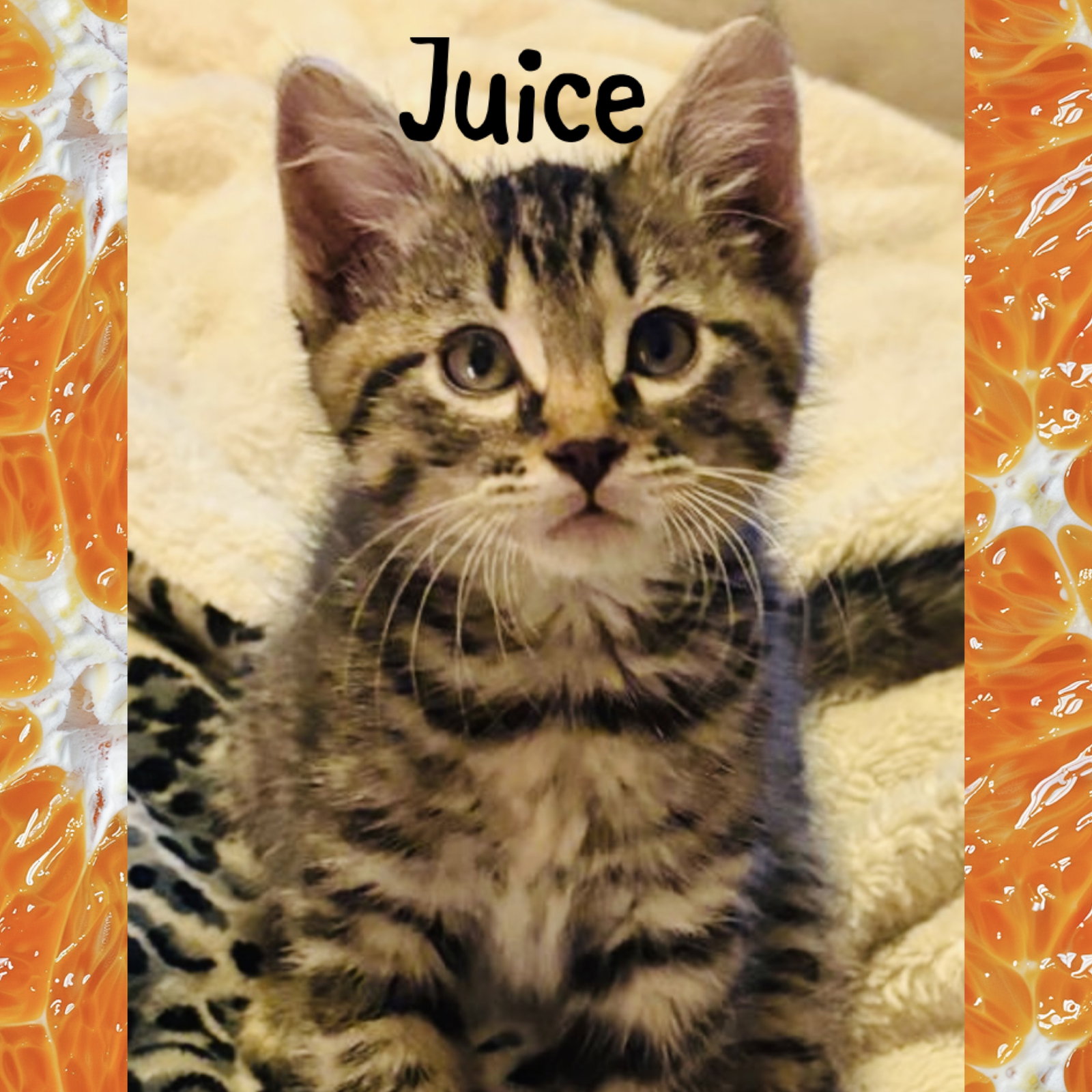 Juice