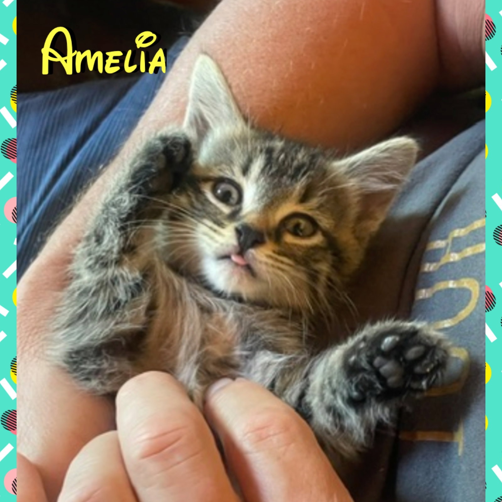 Amelia