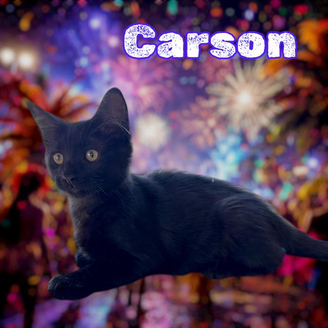 Carson