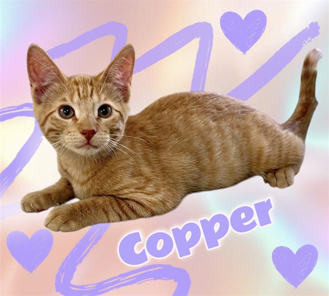 Copper