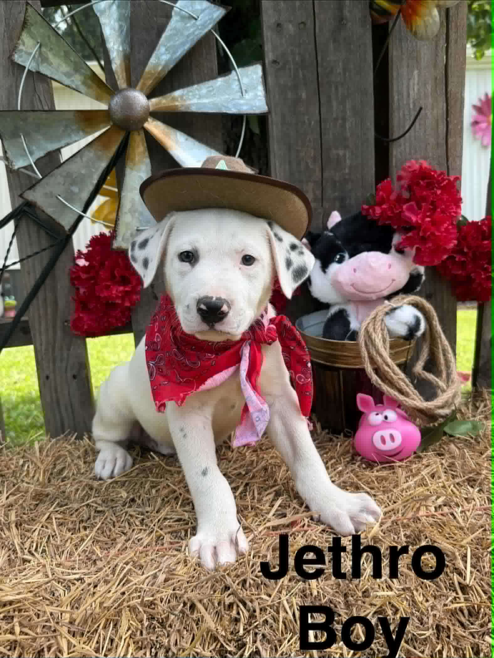 Jethro