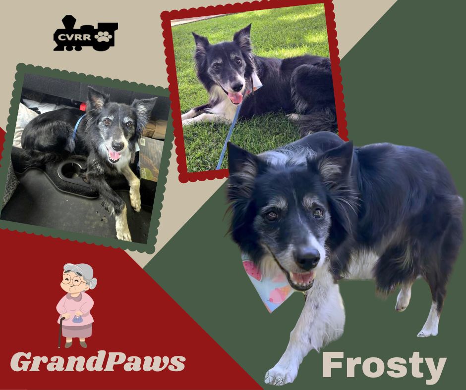 Frosty Grandpaws
