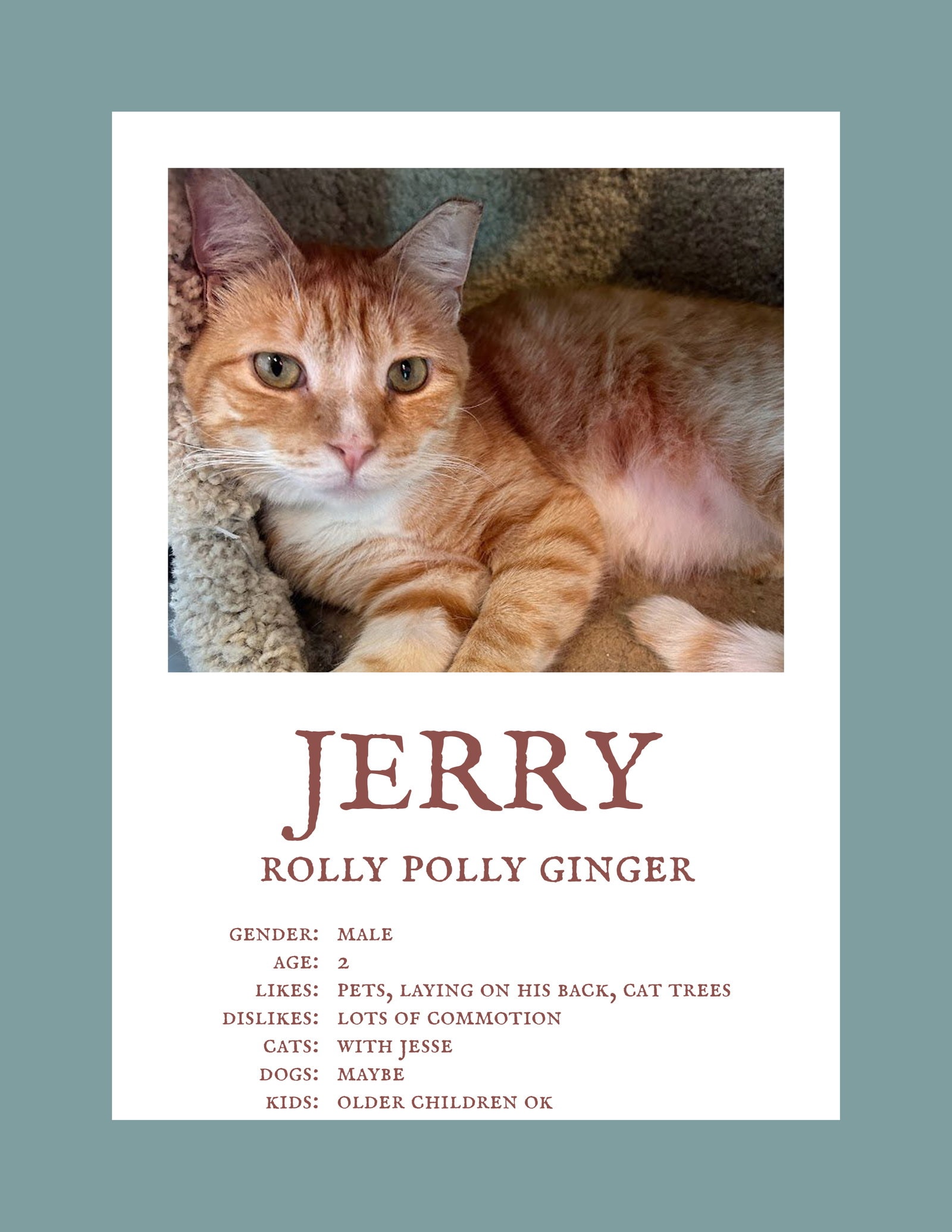 Jerry  Jesse Bonded