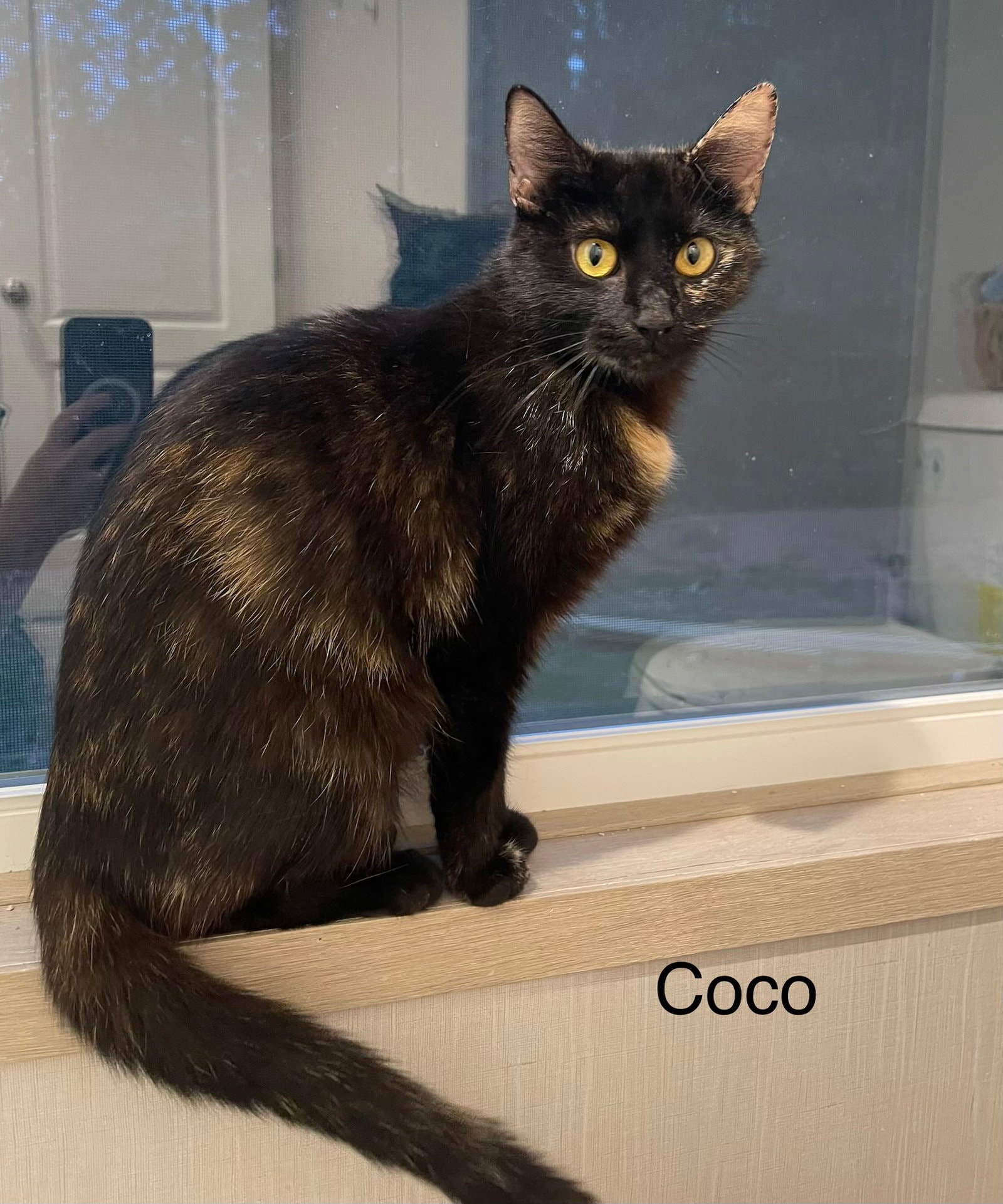 Coco