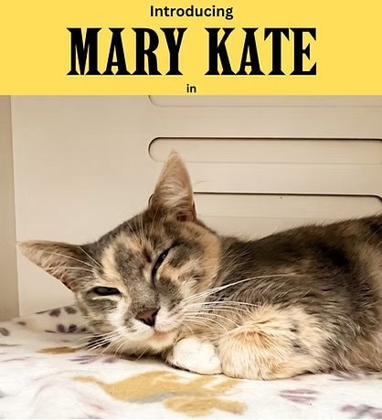Mary Kate
