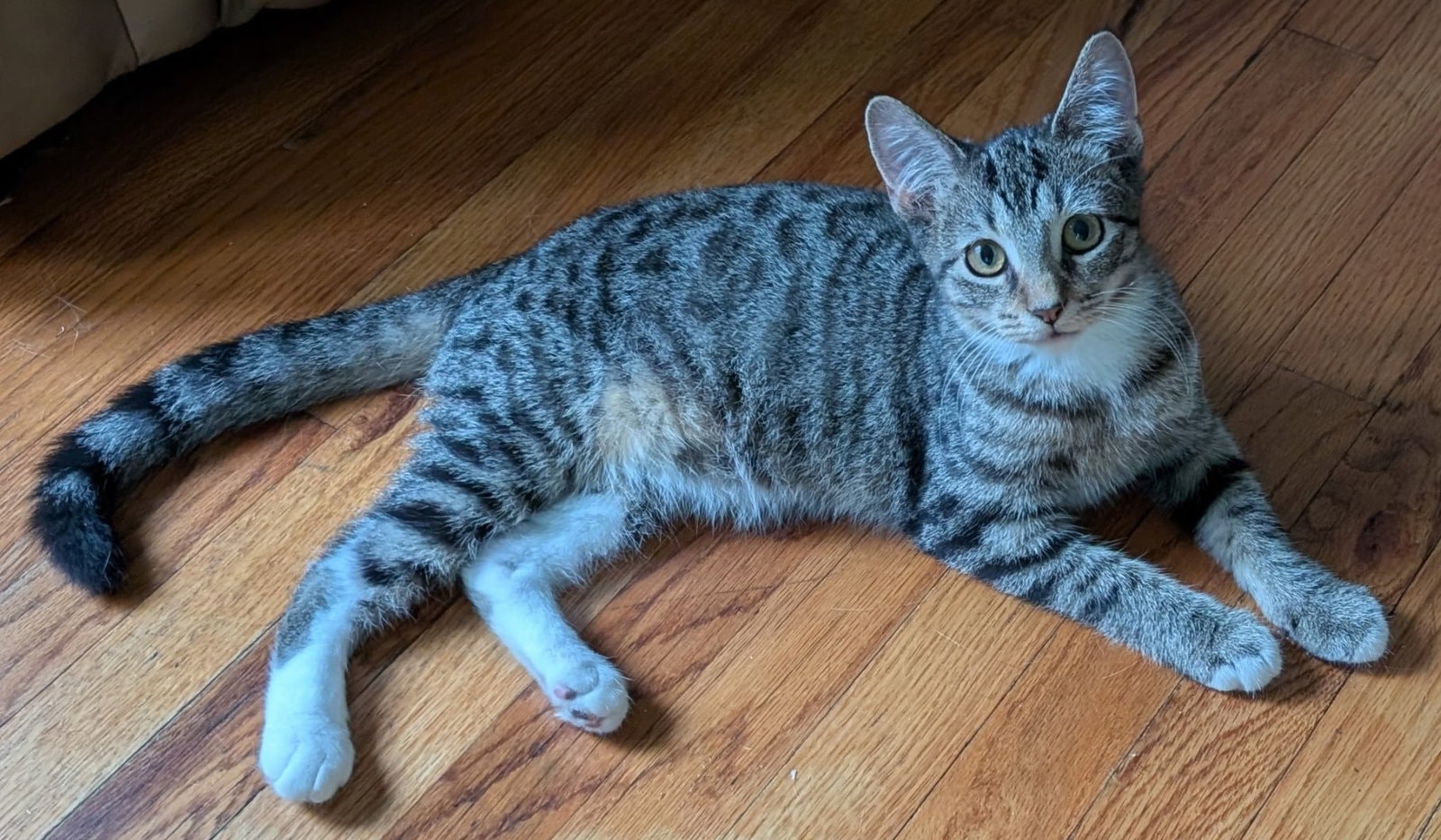 Athena