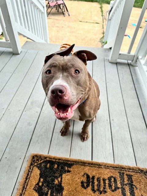 Xena