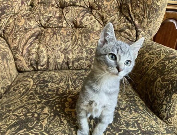 Tiny Tim