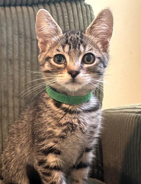 Sid