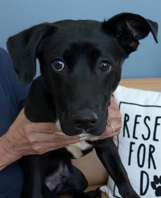 Billy