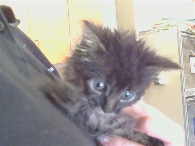 Fred