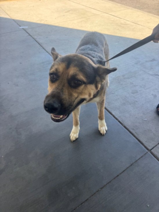 Max