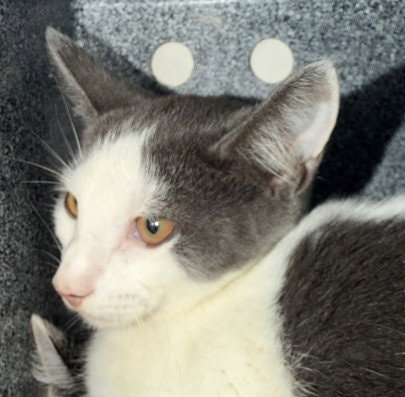 Unknown
