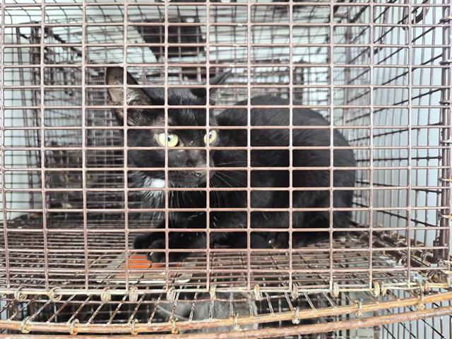 Unknown