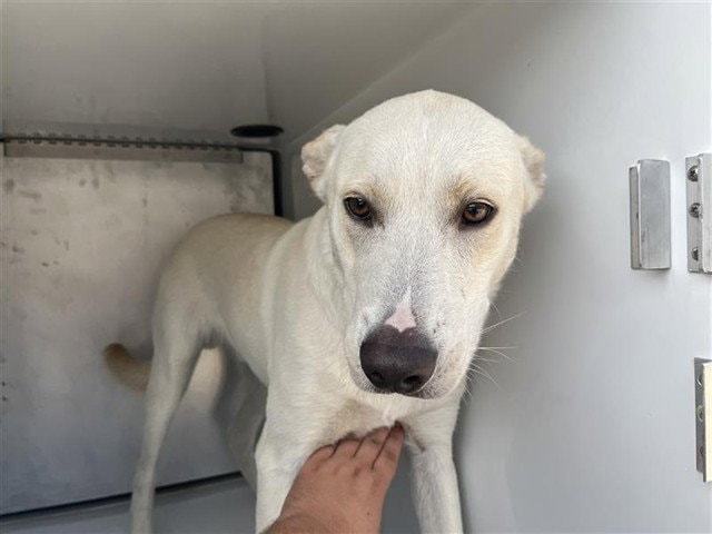 Unknown