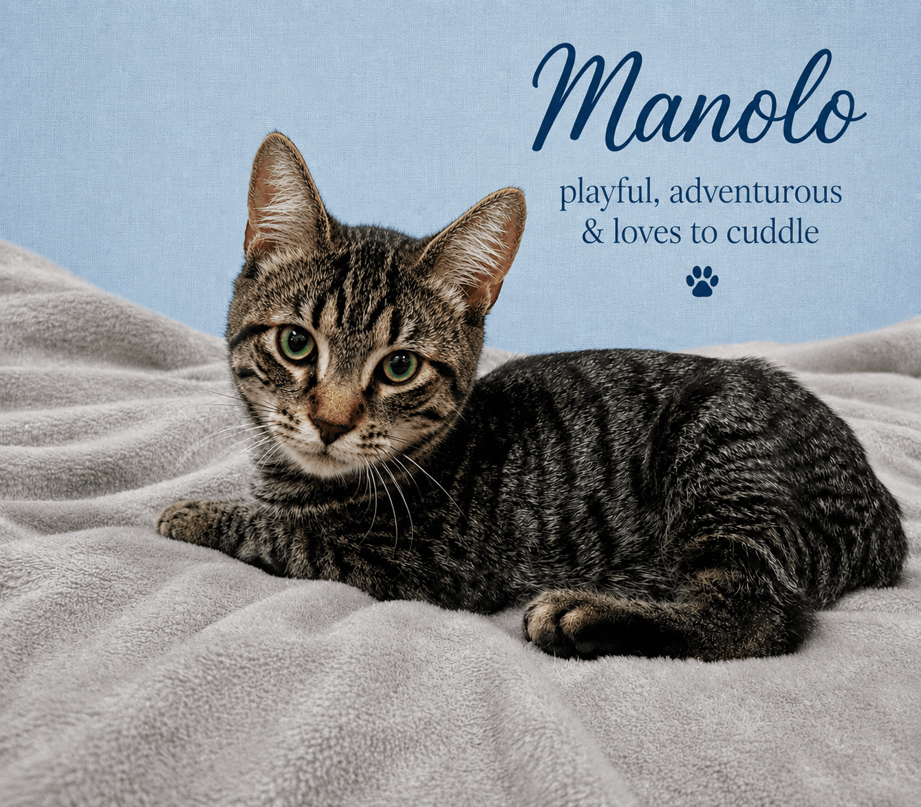 Manolo Fcid -